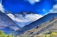 Local landscape 