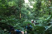 On the trek 