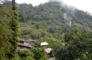 Local landscape 