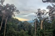 Cambodia Hiking