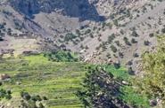 Local landscape 