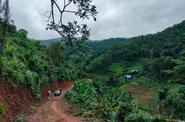 Local landscape 