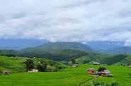 Local landscape 
