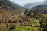 Valley 