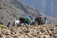 On the trek