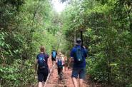 On the trek 