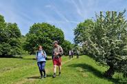 England Hiking