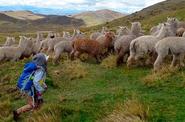 Peru Hiking