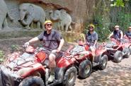 ATV ride 