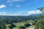 Local landscape 