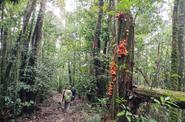 Cambodia Hiking