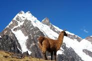 Peru Hiking