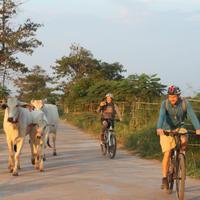 Cambodia Cycling