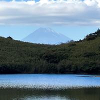 Fuji from Mt Kurotake