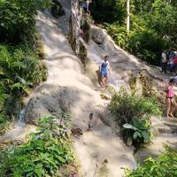 On the trek 