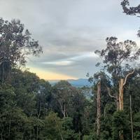 Cambodia Hiking