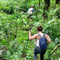 On the trek 