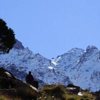 Local landscape 