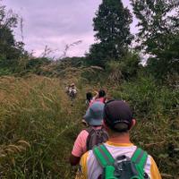 On the trek 