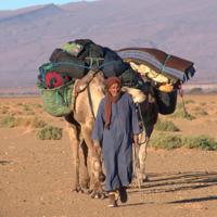 Camel ride 