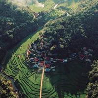 Local landscape 