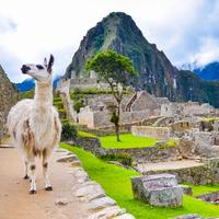 Peru Travel