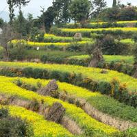 Nepal Trekking