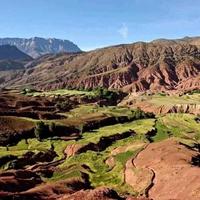 Local landscape