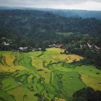 Local landscape 