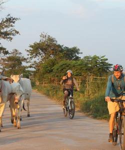 Cambodia Cycling