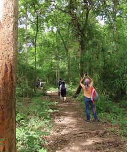 Cambodia Hiking