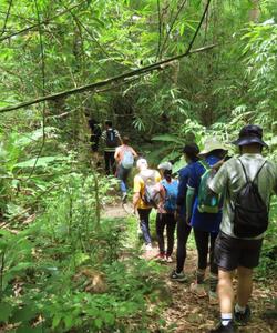 Cambodia Hiking