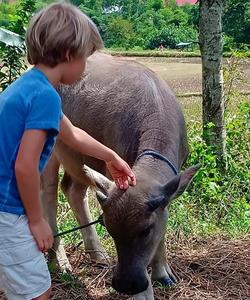 Spending time with locals 