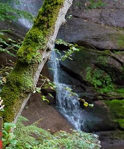 Wales Hiking