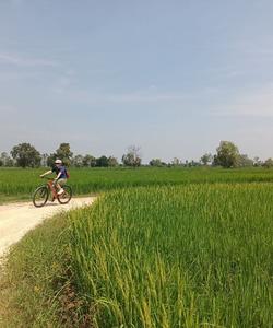Cambodia Cycling