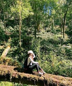 On the trek