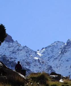 Local landscape 