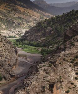 Local landscape 
