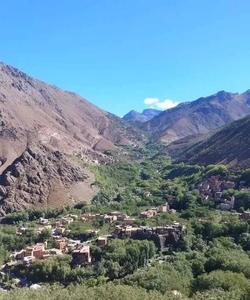 Local landscape 