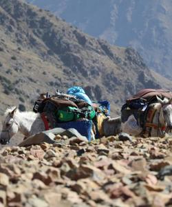 On the trek