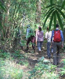 Cambodia Hiking