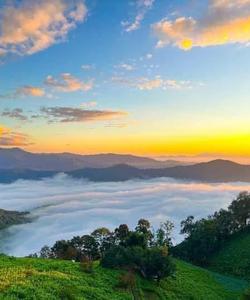 Sunrise 