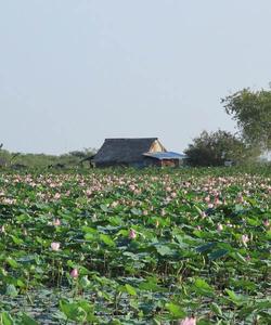 Cambodia Travel