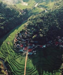 Local landscape 