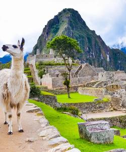 Peru Travel