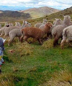 Peru Hiking