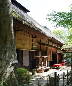 Amazake teahouse Hakone