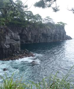 Jogasaki coastline Izu Geopark
