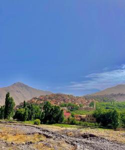 Local landscape 
