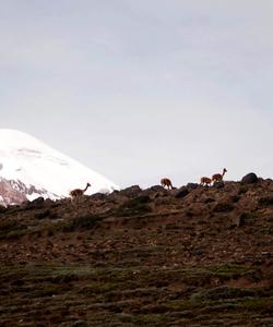Ecuador Trekking